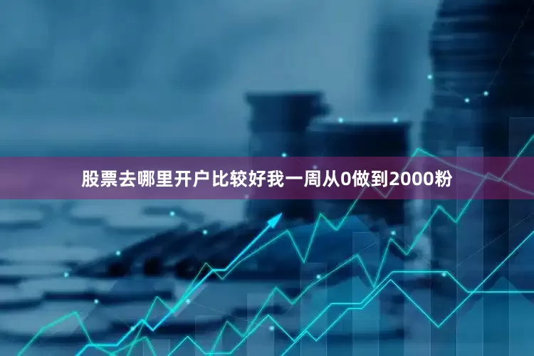 股票去哪里开户比较好我一周从0做到2000粉
