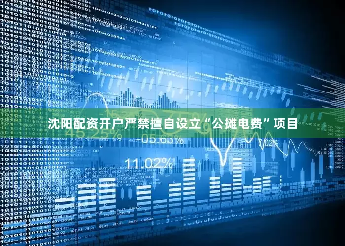 沈阳配资开户严禁擅自设立“公摊电费”项目