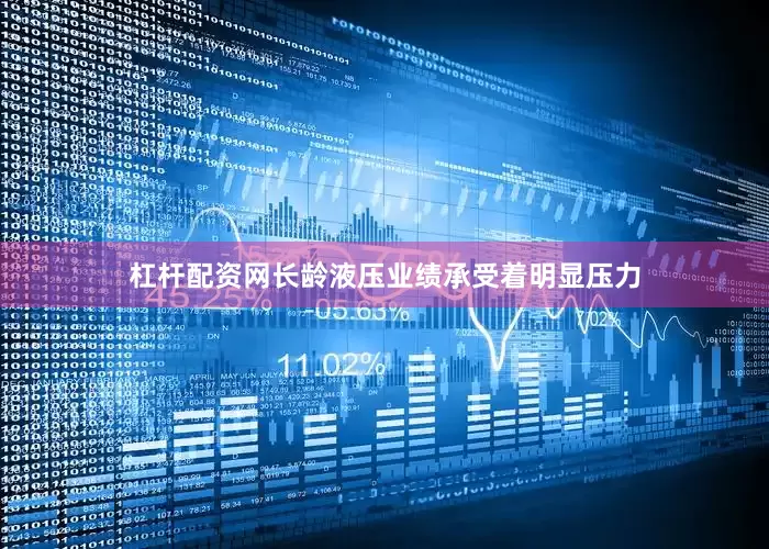 杠杆配资网长龄液压业绩承受着明显压力