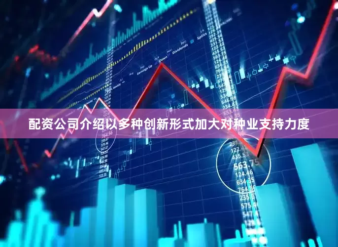 配资公司介绍以多种创新形式加大对种业支持力度