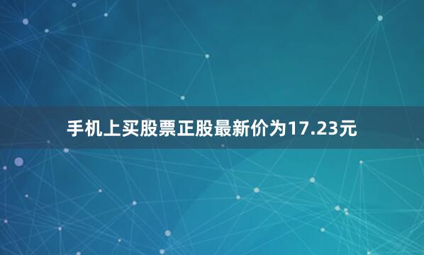 手机上买股票正股最新价为17.23元