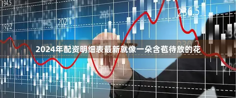 2024年配资明细表最新就像一朵含苞待放的花