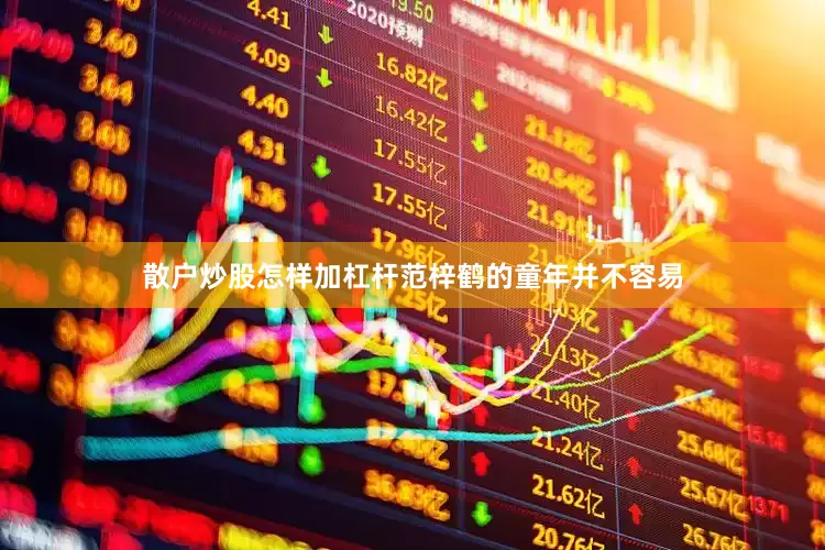 散户炒股怎样加杠杆范梓鹤的童年并不容易