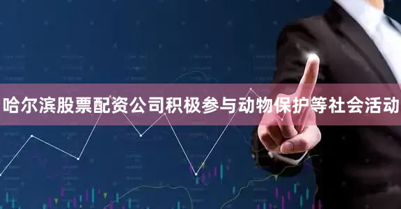 哈尔滨股票配资公司积极参与动物保护等社会活动