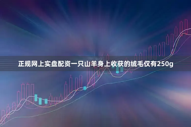 正规网上实盘配资一只山羊身上收获的绒毛仅有250g